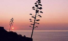 占卜2018年你的漏财指数是多少