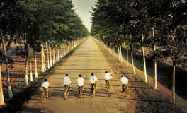 意志力强大，时刻准备着超越的3大星座