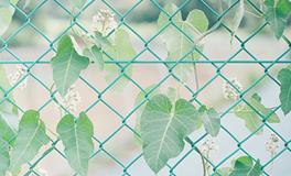 吕克2018年星座运势金牛座