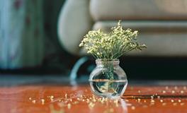 12星座成功道路上的贵人