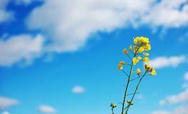 相亲遭拒，还会继续追求你的星座男