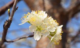 分手后的12星座男，谁会最快找到新欢？