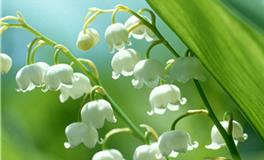 四月，给12星座的一句话忠告