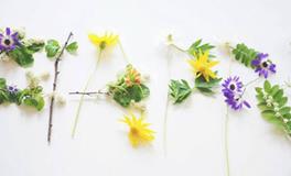 董易林:2018年5月生肖虎运势