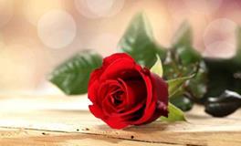 Alex:天蝎座一周运势（5.7—5.13）