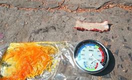 夏天到了，哪些生肖最怕热