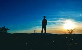 梦见蜘蛛网是什么意思