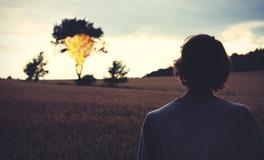 梦到大火预示着什么