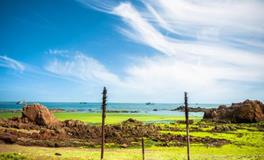 十二星座中，哪些星座是别人眼中的搅屎棍？