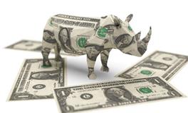 财运不好的风水有哪些，应该如何改变？