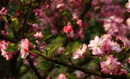 水则堂:2018年6月19日生肖运势