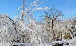 大雪的诗句，最经典的十首大雪诗词
