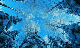 小寒的诗句，最经典的小寒诗词