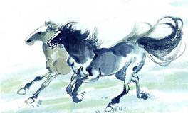 属马2019年运势运程 生肖马2019年运势大全