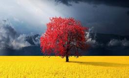 洁安2018年7月份生命灵数运势