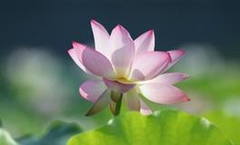 Alex水瓶座一周运势（7.9—7.15）