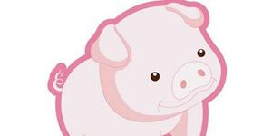 猪宝宝几月出生好，2019年猪宝宝几月出生最好