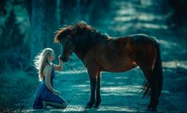 属马的人性格有什么特征