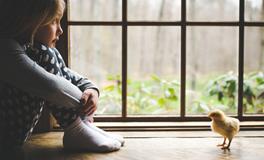 属鸡的财运在什么方位