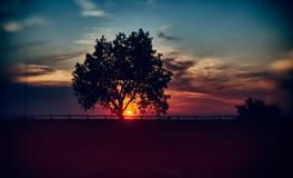 属蛇的文昌位在哪个方向