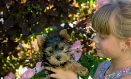 姓江女孩起名大全