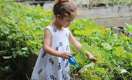 棠字怎么给女孩起名