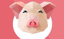 生肖猪的象征意义