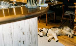 周公解梦梦见捡钱