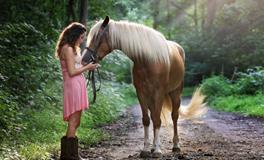 梦见蟒蛇预示着什么？