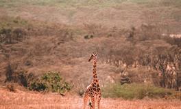 AB型血该如何适应新环境