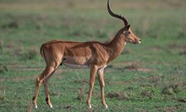 AB血型君旅游装逼装备最齐全