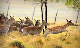 AB血型君分手后还能做朋友