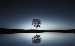 梦到毒蛇是什么意思