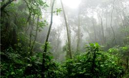 梦见莽蛇是什么意思