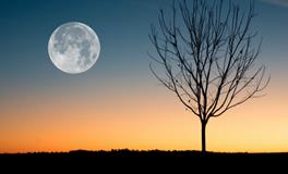 孕妇梦到好多蛇是什么意思