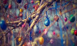 梦见大花蛇是什么意思