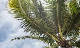 梦见地上好多蛇