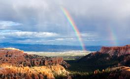 梦见两条小蛇是什么意思