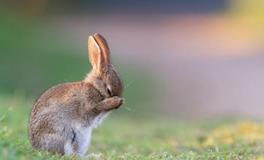 B血型君如何缓解焦虑？