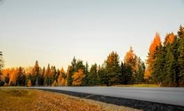 梦见钱丢了什么意思