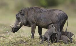 B血型的人潜力大吗？