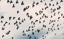 女人梦见别人向我要钱