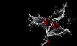 女人梦见好多树