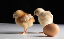 AB型血属鸡人的人际关系