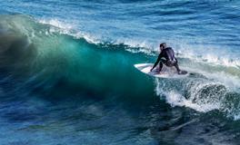 周公解梦梦见马