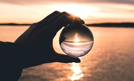 女人梦见鸭子什么意思