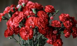 梦见自己打死人了