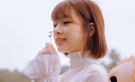 羲邑师姐生肖猪一周运势（7.30-8.5）