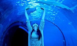 已婚女人梦见自己吐血