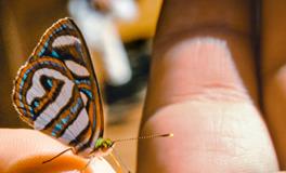 梦见好多朋友聚在一起